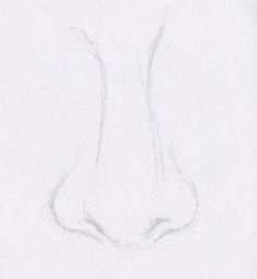 a pencil drawing of a cat's nose