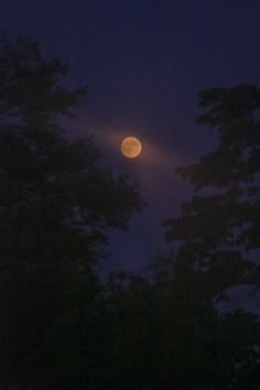 the full moon is seen through some trees