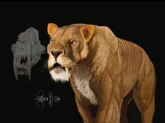 an artist's rendering of a lion and a skull