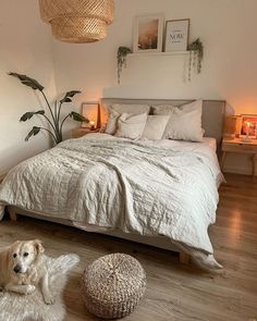 a dog laying on the floor next to a bed in a room with white walls