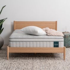 a bed with a pillow on top of it next to a potted plant and other items