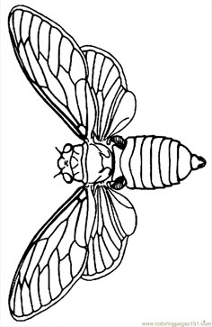 a black and white drawing of a butterfly