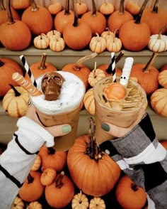 two people holding cups with pumpkins in the background