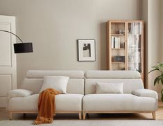 a living room with a white couch and bookshelf in the corner, next to a potted plant