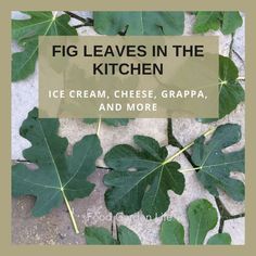 fig leaves in the kitchen ice cream, cheese, grape, and more cover image