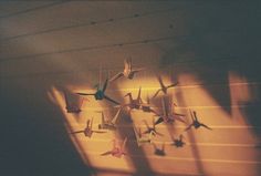 a group of origami birds hanging from the ceiling in a room with light coming through