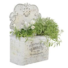 an old tin can with flowers and herbs growing out of it, on a white background