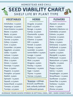 the seed viability chart for plants and flowers is shown in this graphic above it's description