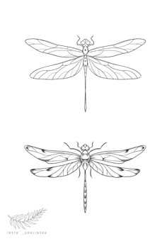 three different types of dragonflies in black and white