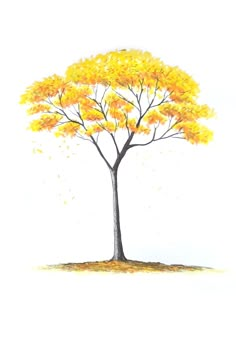 a drawing of a tree with yellow leaves