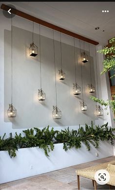 some lights hanging from the side of a wall with plants growing on it and below them