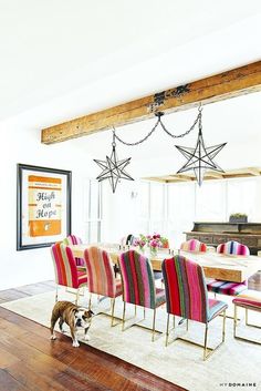 a dog is standing in the middle of a room with colorful chairs and a table