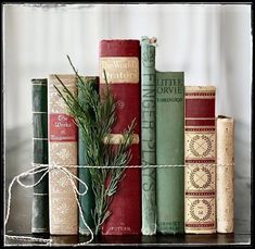 there are many books on the shelf with some pine branches in front of each book