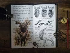 an open notebook with drawings of animals and the words lenovotta mix on it