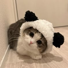 a cat is wearing a white and black hat