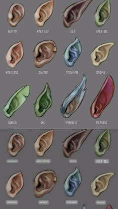 the different types of ear shapes