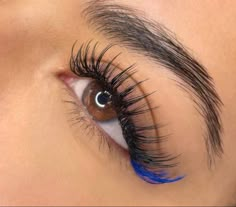 Blue Eyelashes Extensions, Pink And Blue Eyelash Extensions, Black And Blue Lash Extensions, Eye Lash Extensions Styles Color, 4th Of July Lash Extensions, Color Lash Extensions Eyelashes, Eyelash Extensions Colorful, Eyelash Color Extensions, Eyelash Extensions With Blue