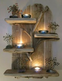 a wooden shelf with candles on top of it and plants growing out of the shelves