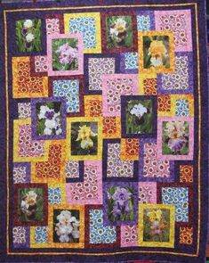 Iris Garden Pattern Photo Quilts, Nancy Zieman, Quilt Retreat, Garden Pattern, Iris Garden, Quilt Festival, Garden Quilt, Memory Quilt, Garden Kits