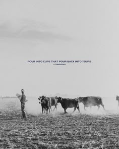 a man standing in the middle of a field next to some cows with a quote on it