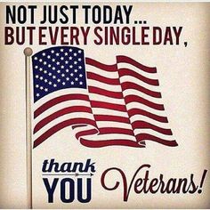 a sign with an american flag on it says, not just today but every single day, thank you veterans