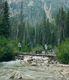 three hikers cross a fallen log over a stream in the mountains, with trees and rocks on either side