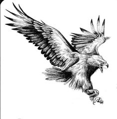 an eagle is flying with its wings spread out and taloning it's claws