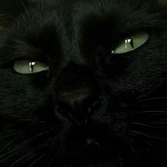 a black cat with green eyes looking at the camera while it's close up