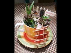 a cup filled with succulents sitting on top of a plate