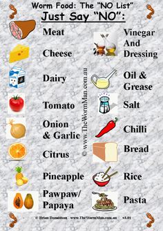 the food list is shown with different types of foods and ingredients to eat on it