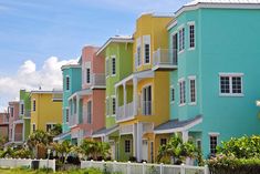 several multi - colored buildings line the street in front of palm trees