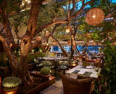 an outdoor restaurant with tables and chairs, trees in the center, and lights hanging from the ceiling