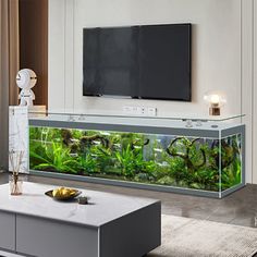 a living room filled with furniture and a large fish tank