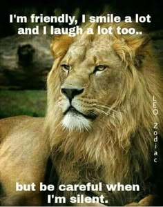 a lion with the words i'm friendly, smile a lot and laugh a lot too but be careful when i'm silent