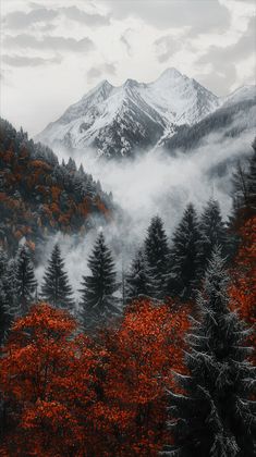 the mountains are covered in fog and trees with red leaves on them, as well as clouds