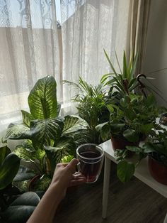 a person holding a coffee cup in front of some potted plants on a window sill