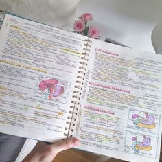 a hand holding an open book with pictures of the human body and organs in it