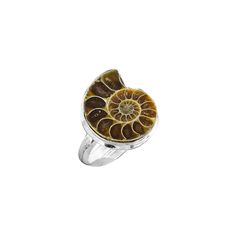 Fossil Ring, Ammonite Fossil, Wife Gift, Gift Ring, Ring Jewelry, Gifts For Wife, Ring Gift, Fossil, 925 Silver