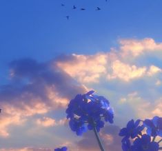 purple flowers in the foreground with birds flying overhead and clouds in the background at sunset