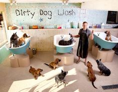 a woman standing next to several dogs in bath tubs