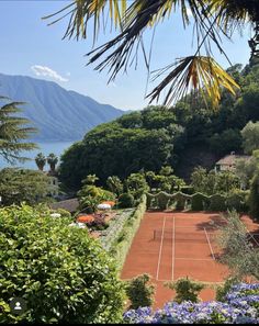 a tennis court surrounded by trees and flowers