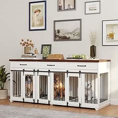 a dog in a cage on top of a white table next to pictures and plants