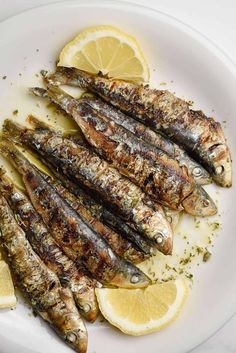 grilled sardines with lemon slices on a white plate