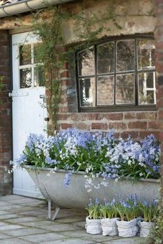 some blue flowers are growing in a planter on the side of a brick building