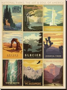 an image of a poster with many different things on it's back side, including mountains and trees