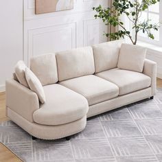 a white couch sitting on top of a wooden floor next to a plant in a living room