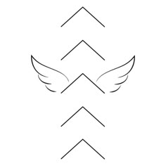 three arrows with two wings on each side and one in the middle, all connected by lines