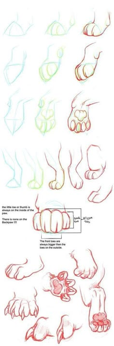 some drawings of hands and feet with different angles to the left, on top of each other