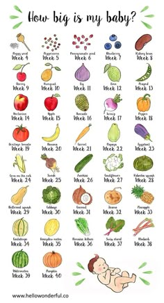 the baby's diet chart for how big is my baby?, with vegetables and fruits