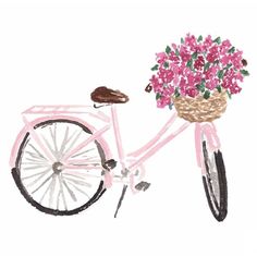 a drawing of a pink bicycle with flowers in the basket on it's front wheel